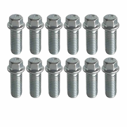 Extractor Bolt Kit - Holden Commodore VN-VR 3.8L V6