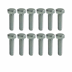 Extractor Bolt Kit - Holden Commodore VS-VY 3.8L V6 Ecotec