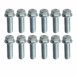 HOLDEN COMMODORE VT VU VX VY VZ VE VF V8 5.7LT 6.0LT 6.2LT EXTRACTOR BOLTS SET