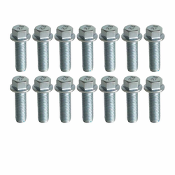 HOLDEN COMMODORE VZ VE VF V6 3.6LT EXTRACTOR BOLTS SET