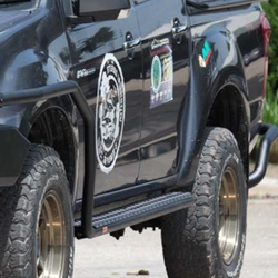 SIDE STEPS - Isuzu D-Max D/Cab Ute (6/2012-6/2020) - Side Rail Compatible