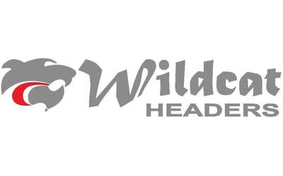 HOLDEN COMMODORE VE V6 3.6LT ALLOYTEC WILDCAT HEADERS EXTRACTORS & CATS